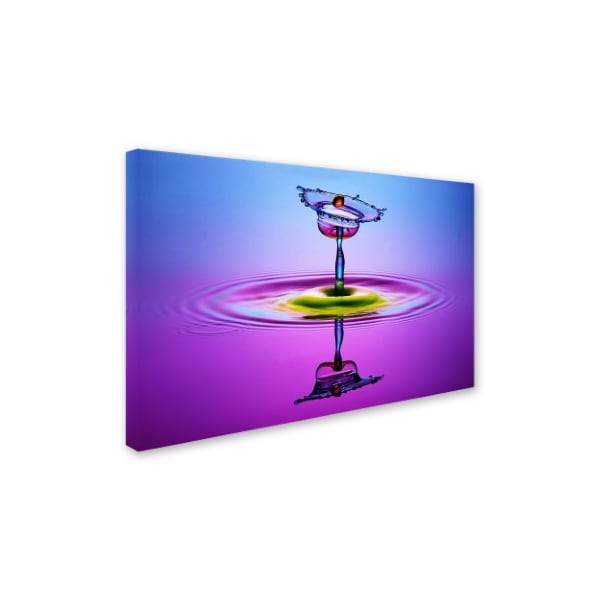 Muhammad Berkati 'Chalice Colors Full' Canvas Art,22x32